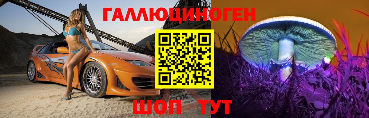 Галлюциногенные грибы Psilocybe  Псилоцибиновые грибы GOLDEN TEACHER  Березники  Вход с VPN 
