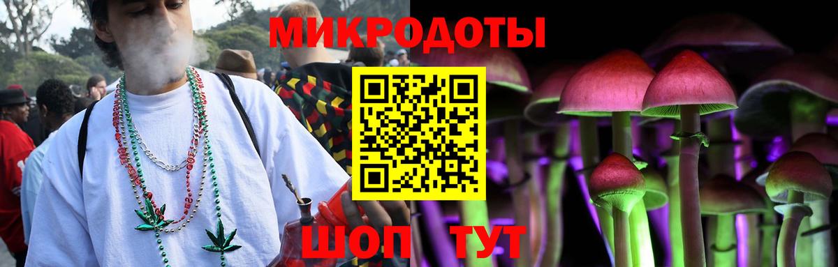 Псилоцибиновые грибы Cubensis Березники